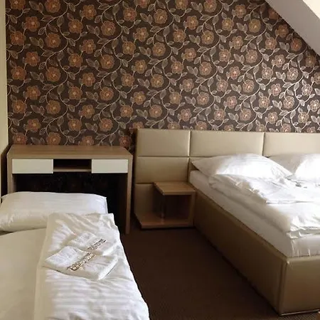 Precedens Gasthuis Trebisov